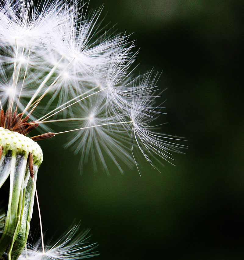 Hartebeeskraal Self-Catering Cottage