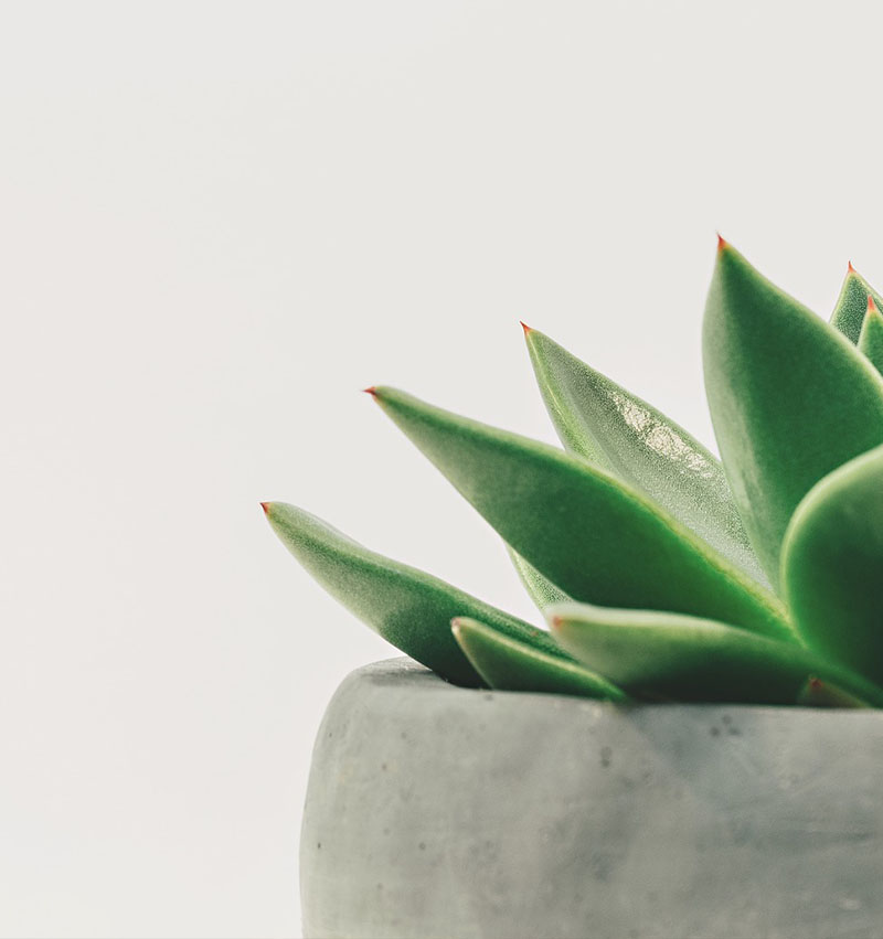 Hartebeeskraal Self-Catering Cottage